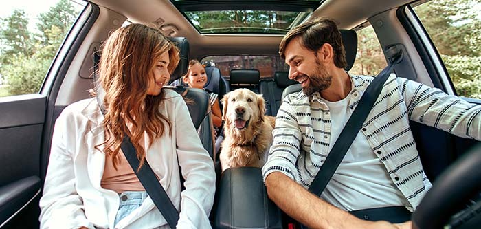 Auto insurance